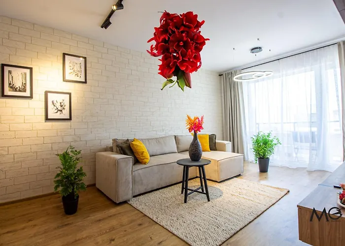 12bv Pop Old * Брашов